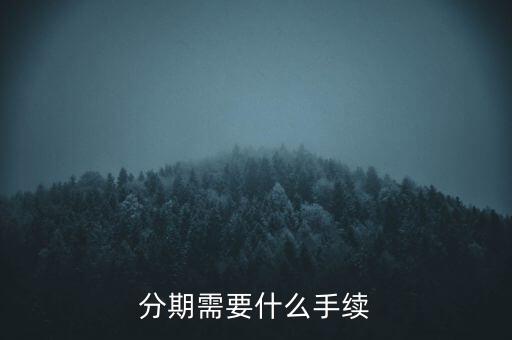 分期需要什么手續(xù)
