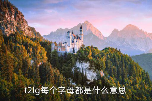 opec每個字母是什么意思，t2lg每個字母都是什么意思