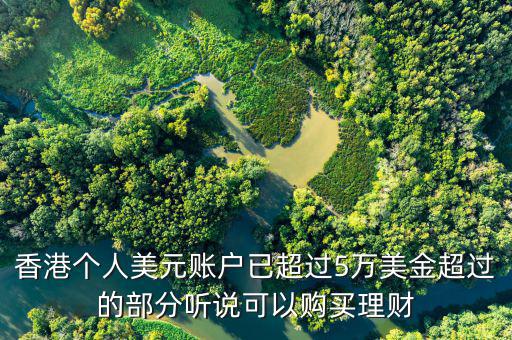 美元在香港投資什么比較好，香港個(gè)人美元賬戶已超過5萬美金超過的部分聽說可以購買理財(cái)