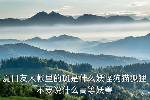 什么是棄風限電，什么是理想非極化電極