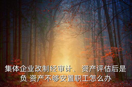 集體企業(yè)改制經(jīng)審計(jì)、 資產(chǎn)評(píng)估后是負(fù) 資產(chǎn)不夠安置職工怎么辦