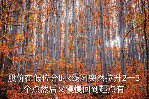 低位反彈之后加速拉升什么情況，股價在低位分時k線圖突然拉升2一3個點然后又慢慢回到起點有
