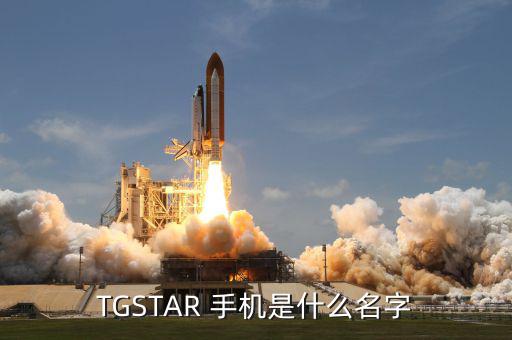 周鴻t手機牌子是什么，T型的手機是什么牌子