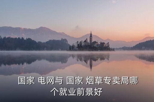  國家 電網(wǎng)與 國家 煙草專賣局哪個(gè)就業(yè)前景好