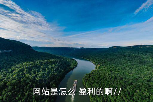  網站是怎么 盈利的啊//