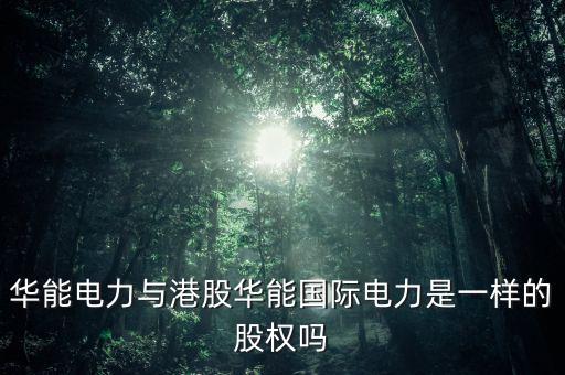 華能電力與港股華能國(guó)際電力是一樣的股權(quán)嗎