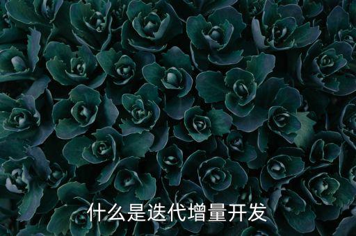 什么是增量發(fā)展，物理意義上的增量是什么意思