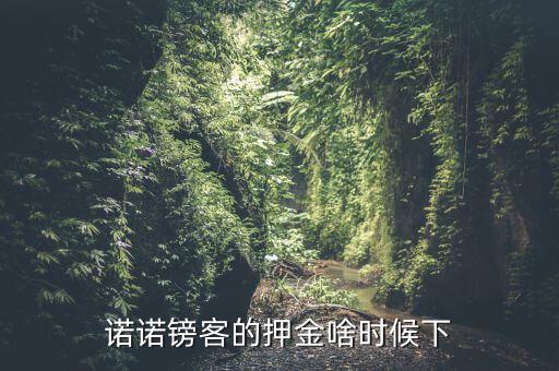 諾諾鎊客里的收本金額是什么，諾諾鎊客的押金啥時(shí)候下