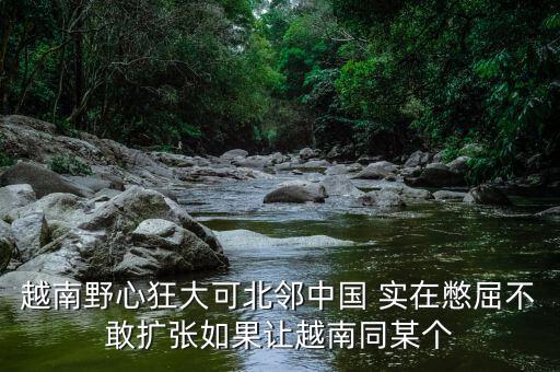 越南為什么那么狂，越南野心狂大可北鄰中國(guó) 實(shí)在憋屈不敢擴(kuò)張如果讓越南同某個(gè)