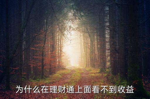 投資60元理財通為什么沒收益，為什么在理財通上面看不到收益