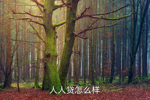 人人貸理財計(jì)劃怎么樣,人人貸不是貸款平臺而是一個小貸平臺