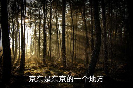 京東指的是什么地方，京東什么華東地區(qū)華南怎么分布的