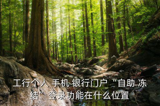 工行個(gè)人 手機(jī) 銀行門(mén)戶“自助 凍結(jié)”登錄功能在什么位置