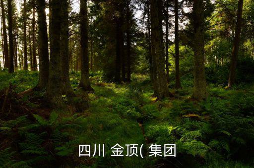 金頂集團怎么樣,四川金頂集團股東梁海轉(zhuǎn)讓股權(quán)價格沒溢價