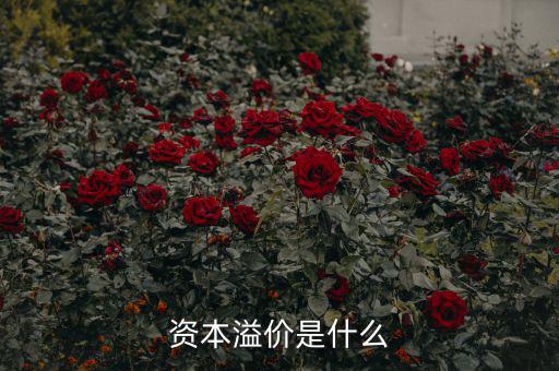 什么是溢價，什么是資本溢價