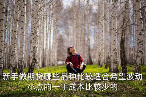 新手做期貨哪些品種比較適合希望波動小點的一手成本比較少的