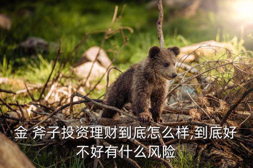金 斧子投資理財?shù)降自趺礃?到底好不好有什么風險