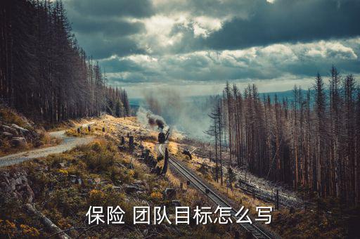 保險團(tuán)隊(duì)工作發(fā)展計(jì)劃怎么寫,保險職業(yè)規(guī)劃怎么寫
