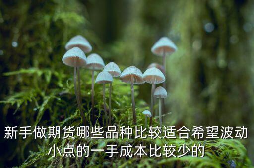 兩萬能做期貨什么品種，我用兩萬做商品期貨