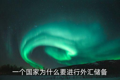 一個(gè)國家為什么要進(jìn)行外匯儲(chǔ)備