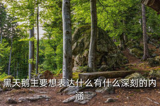 黑天鵝書說的是什么，黑天鵝主要想表達(dá)什么有什么深刻的內(nèi)涵