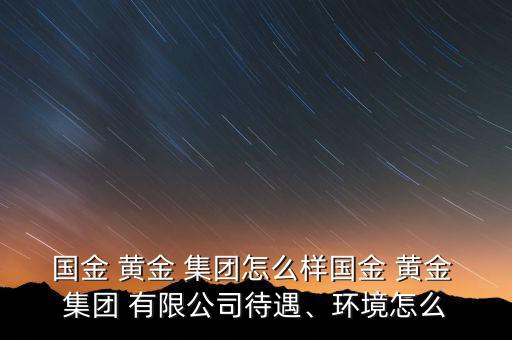 國(guó)金 黃金 集團(tuán)怎么樣國(guó)金 黃金 集團(tuán) 有限公司待遇、環(huán)境怎么