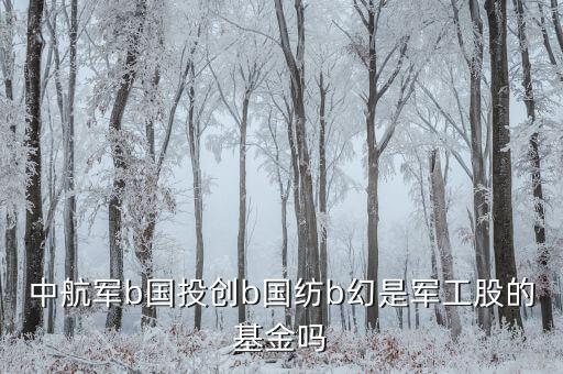 國(guó)創(chuàng)投b是什么基金，請(qǐng)教創(chuàng)業(yè)b是私募基金嗎屬于清盤對(duì)象嗎