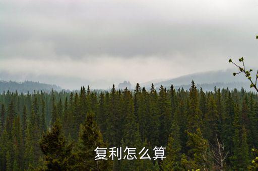 復(fù)利在實(shí)際中怎么操作,復(fù)利終值公式可計(jì)算不同年份實(shí)際價值