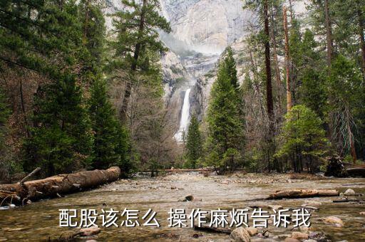 滬市股票配股怎么操作,深圳配股交易系統(tǒng)設(shè)置買(mǎi)入方式