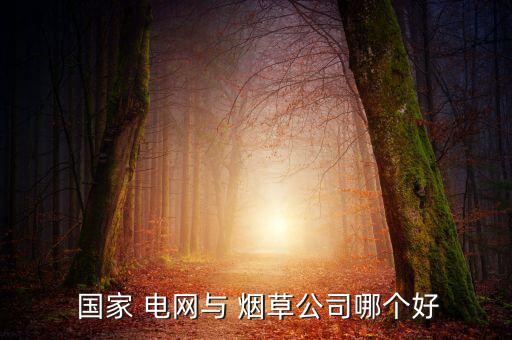  國家 電網(wǎng)與 煙草公司哪個(gè)好