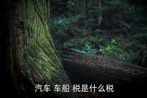 汽車車船稅是怎么樣,車船稅是對(duì)車輛、船舶征收的稅