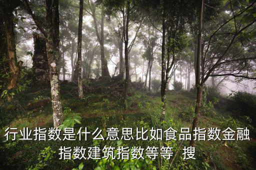 申萬行業(yè)指數(shù)是什么，申萬證券行業(yè)指數(shù)分級是什么指數(shù)基金嗎