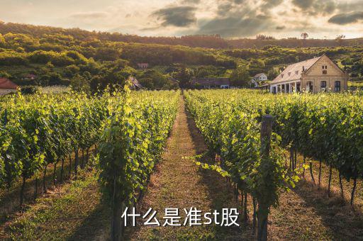 準(zhǔn)st股什么意思，什么是準(zhǔn)st股