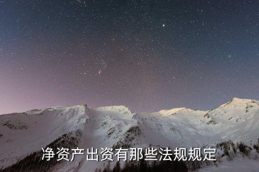 凈資產(chǎn)出資什么意思，股權(quán)比例所對(duì)應(yīng)的凈資產(chǎn)份額是什么意思