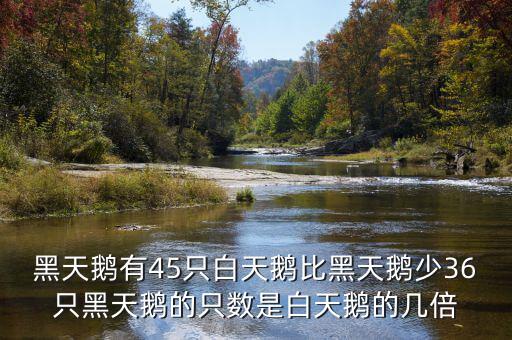 什么是黑天鵝，黑天鵝有45只白天鵝比黑天鵝少36只黑天鵝的只數(shù)是白天鵝的幾倍