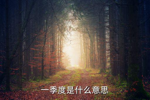 每一季度是什么意思，每季度什么意思