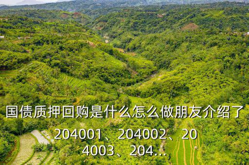 國債質押回購是什么怎么做朋友介紹了 204001、204002、204003、204...