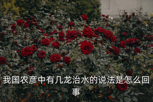 三龍治水是什么意思，幾屠共豬 幾龍治水做何解