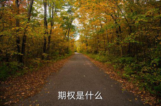 股票期權(quán)是什么，期權(quán)和股權(quán)有什么本質(zhì)區(qū)別嗎