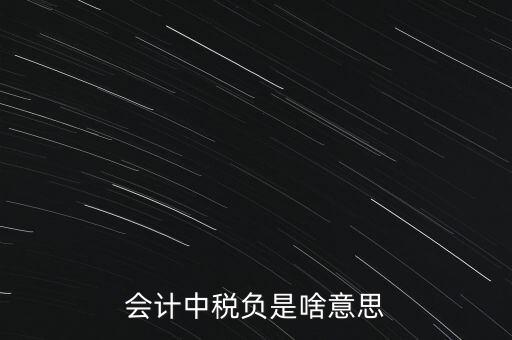 稅負是什么意思，會計中稅負是啥意思