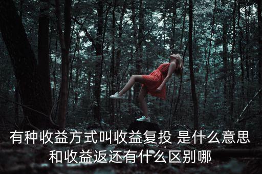按月復投是什么意思，本息復投是什么意思