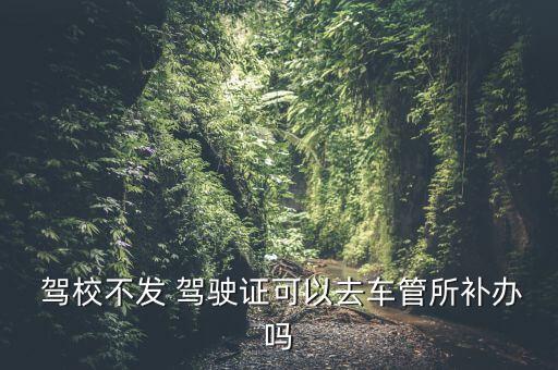 駕校不給駕駛證怎么辦,機動車駕駛人補辦駕駛證后作廢不再使用