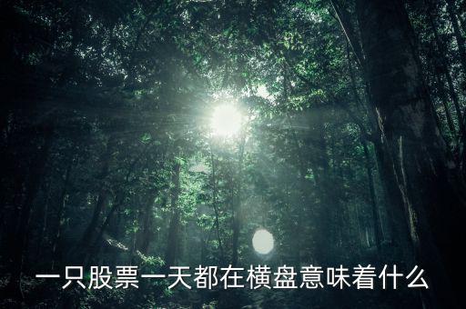 一只股票一天都在橫盤(pán)意味著什么