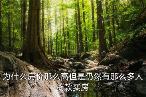 為什么房?jī)r(jià)那么高但是仍然有那么多人貸款買(mǎi)房