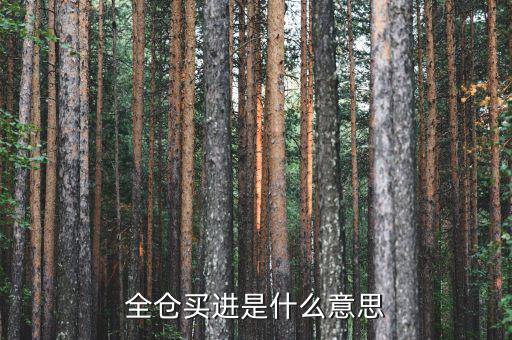 全倉(cāng)買入是什么意思，掛高全倉(cāng)買入什么意思