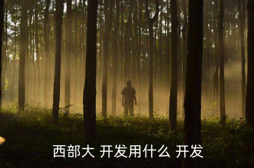  西部大 開(kāi)發(fā)用什么 開(kāi)發(fā)