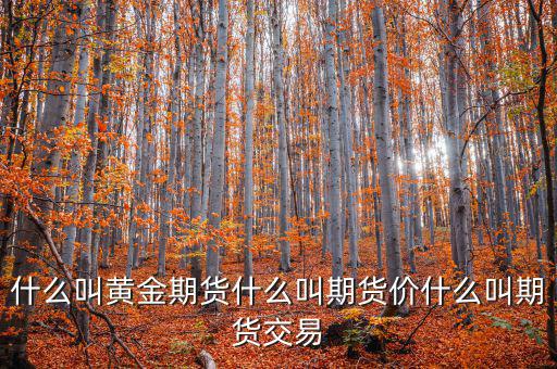 什么是期貨價，什么叫黃金期貨什么叫期貨價什么叫期貨交易