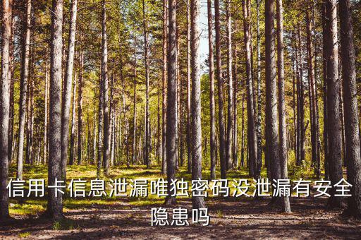 信用卡信息泄露有什么風險，信用卡信息泄漏唯獨密碼沒泄漏有安全隱患嗎