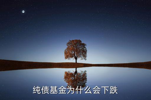 為什么純債基也會(huì)下跌，純債基金為什么會(huì)下跌