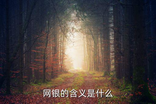 網(wǎng)銀存入代表什么意思，網(wǎng)銀的含義是什么